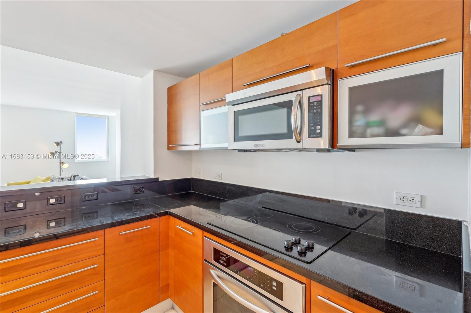 VIZCAYNE NORTH CONDO - Residential