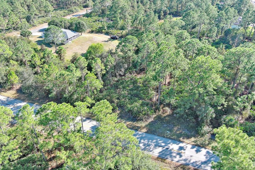 Great opportunity to build on this 0.25-acre lot in a peaceful area of Lehigh Acres! Situated on a quiet street with quick access to shopping, schools, parks, and main roads, this property is perfect for your future home or investment. Enjoy no HOA and no deed restrictions—just the freedom to create the lifestyle you want. Don’t miss this well-located parcel in a growing community!