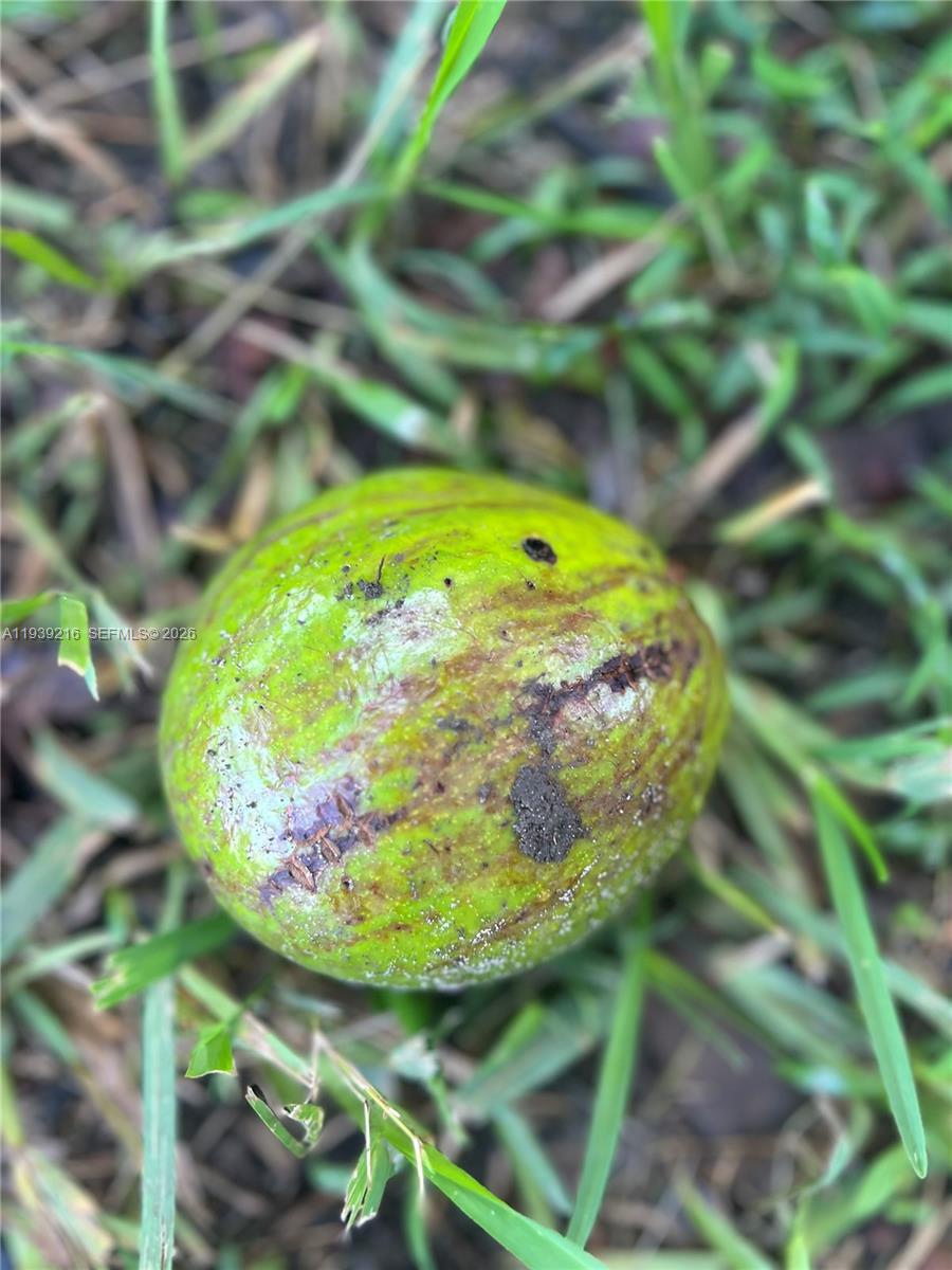 REDLAND - Residential