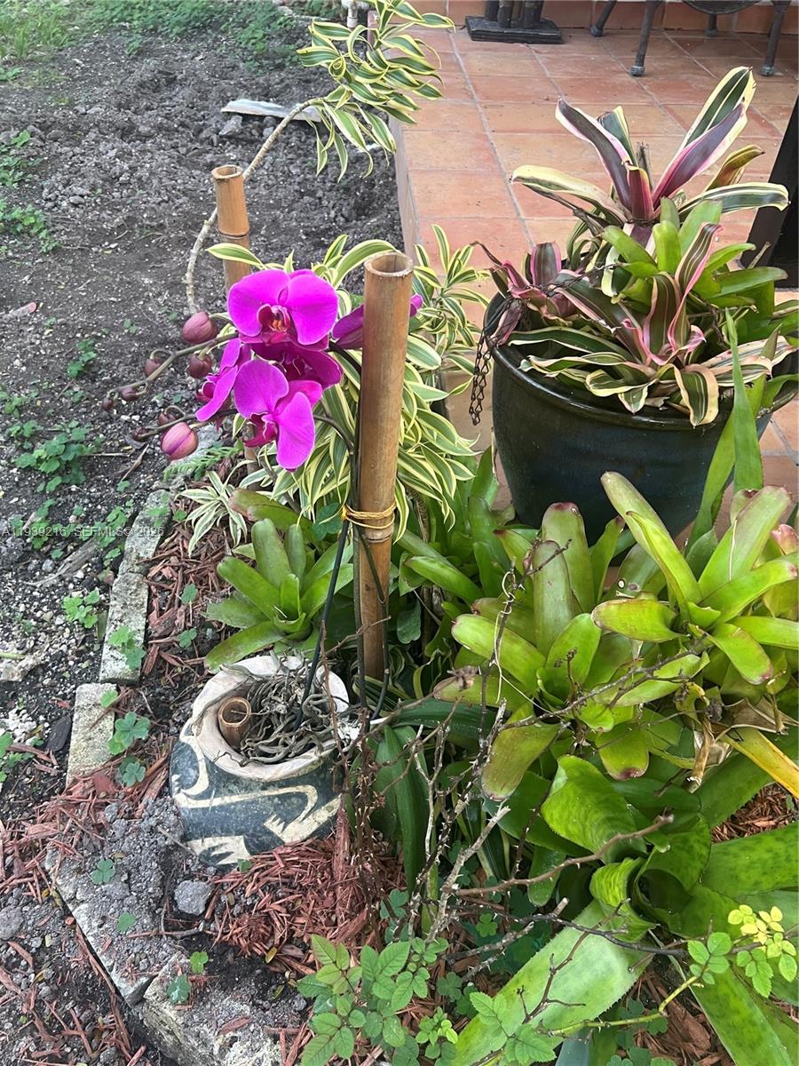 REDLAND - Residential