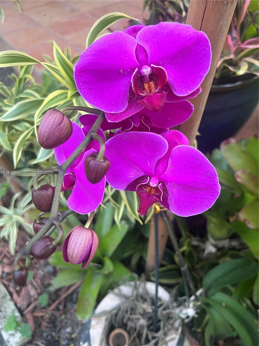 REDLAND - Residential