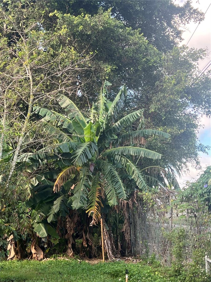 REDLAND - Residential