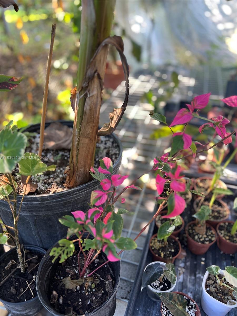 REDLAND - Residential