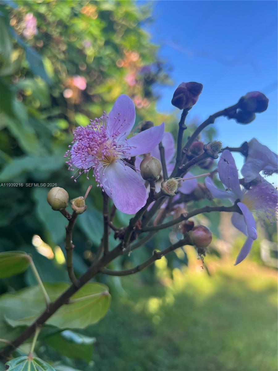 REDLAND - Residential