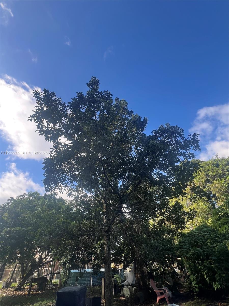 REDLAND - Residential