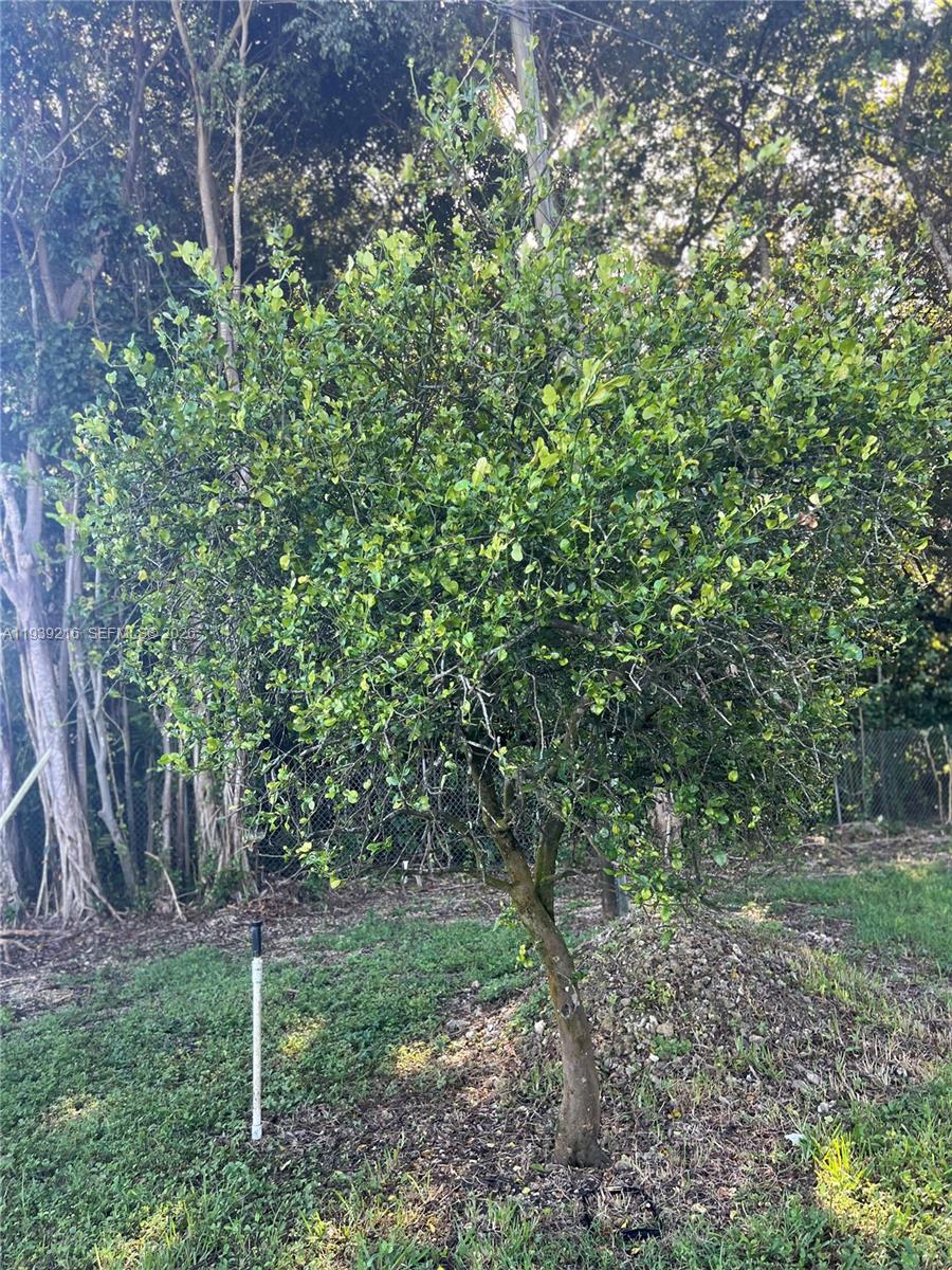 REDLAND - Residential