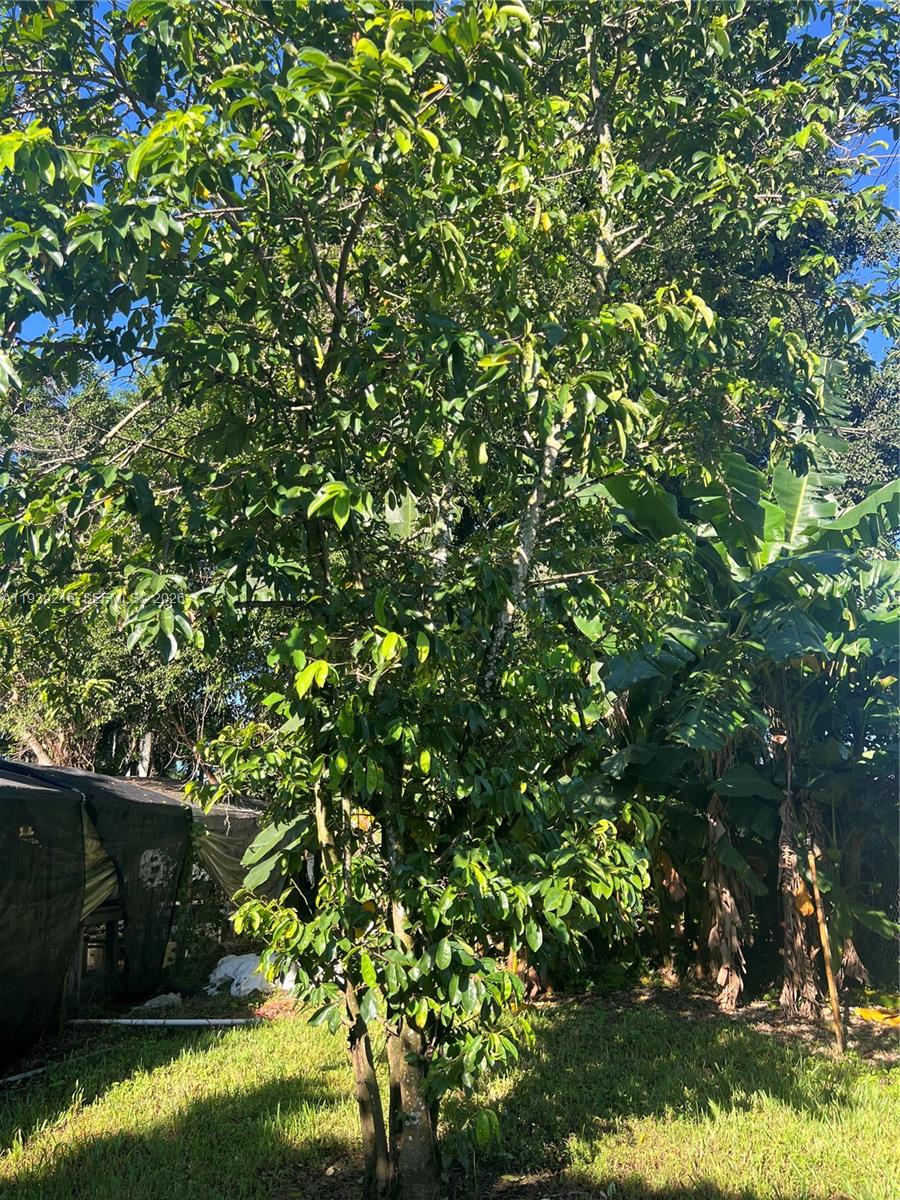 REDLAND - Residential