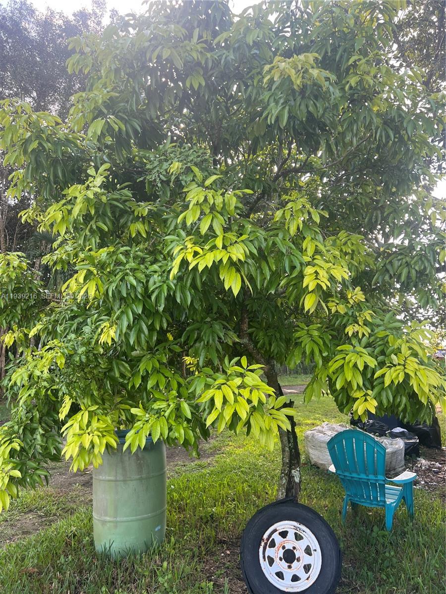 REDLAND - Residential