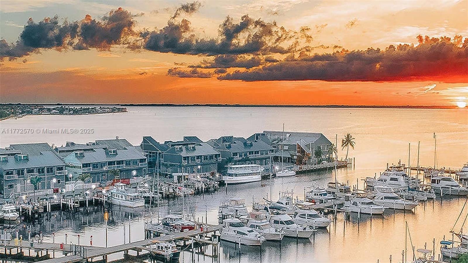 Palm Shores - Land