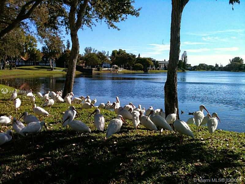 INTERNATIONAL VILLAGE AT - Residential Lease