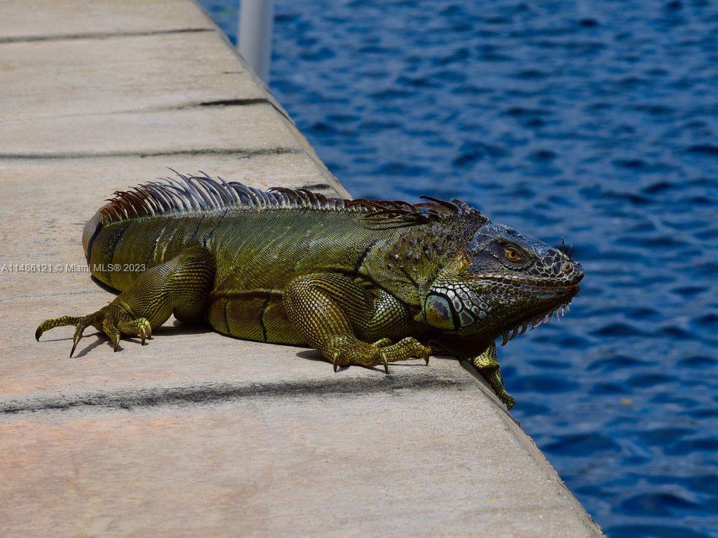 Bass and Sun Condominium - Residential Lease