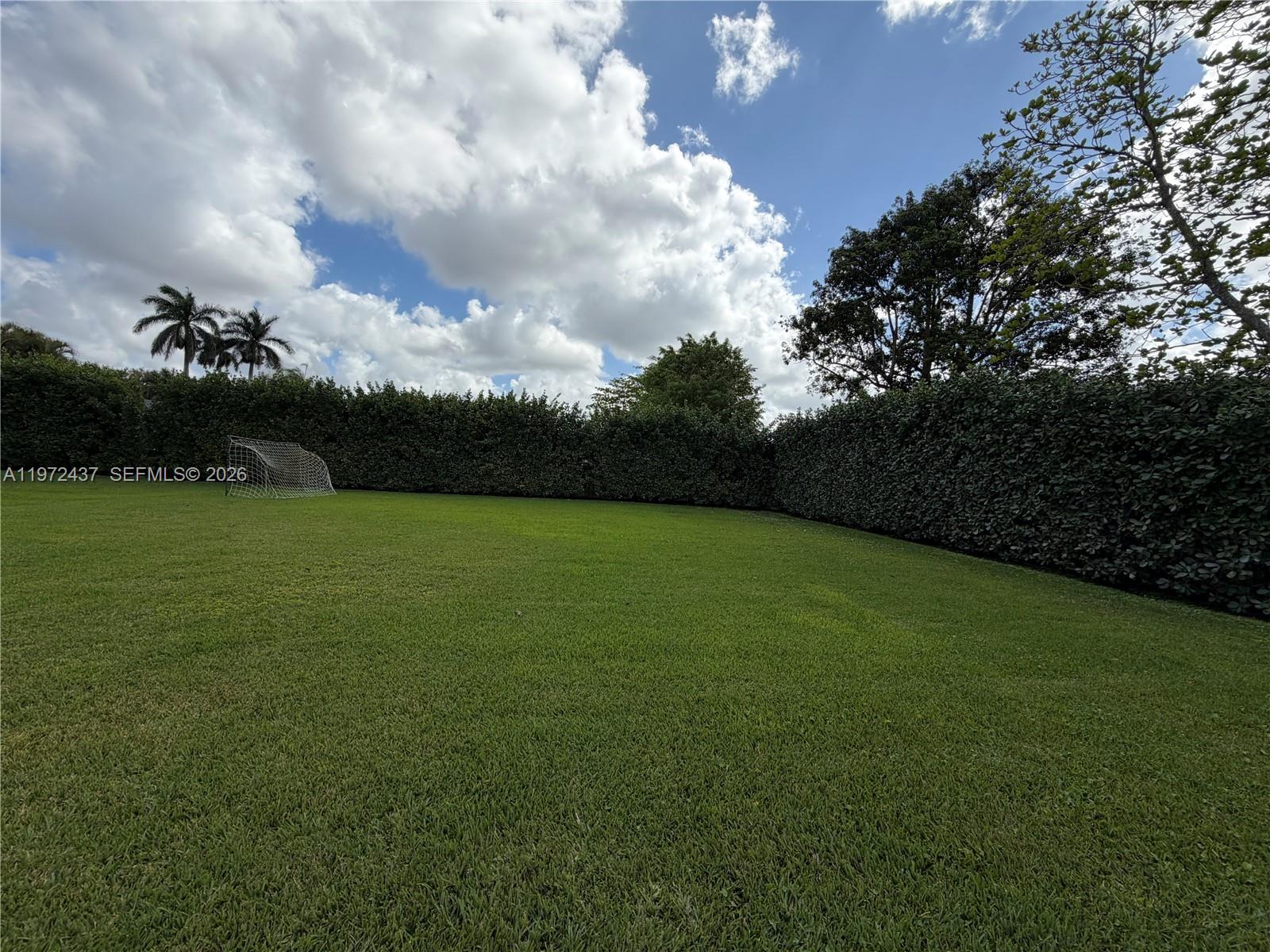 LIVE OAKS - Residential