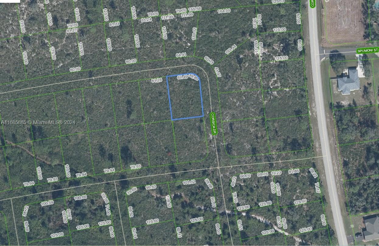 OWNER WILL FINANCE!!! Sun N Lakes development is building 100 acre water and sewage facility 1 block away! They are planning on building infrastructure on the properties that are closest to the facility first. There is power 2 lots away. Sun N Lakes community, a perfect place to build your dream home in which to raise your kids or retire. The Sun N Lakes community offers 2 18-Hole championship golf courses, restaurant, clubhouse, gym, playground, community pool, splash pad, community center, fitness center, pickle ball, and tennis. Sebring is centrally located 1.5 hours from Disney, 1.5 hours from Tampa and 1.45 hours from Ana Maria Island Beaches. Located close to Advent health and Sun N Lake Elementary. OWNER WILL FINANCE!!! 3K DOWN 429.19 A MONTH FOR 36 MONTHS AT 7% INTREST.