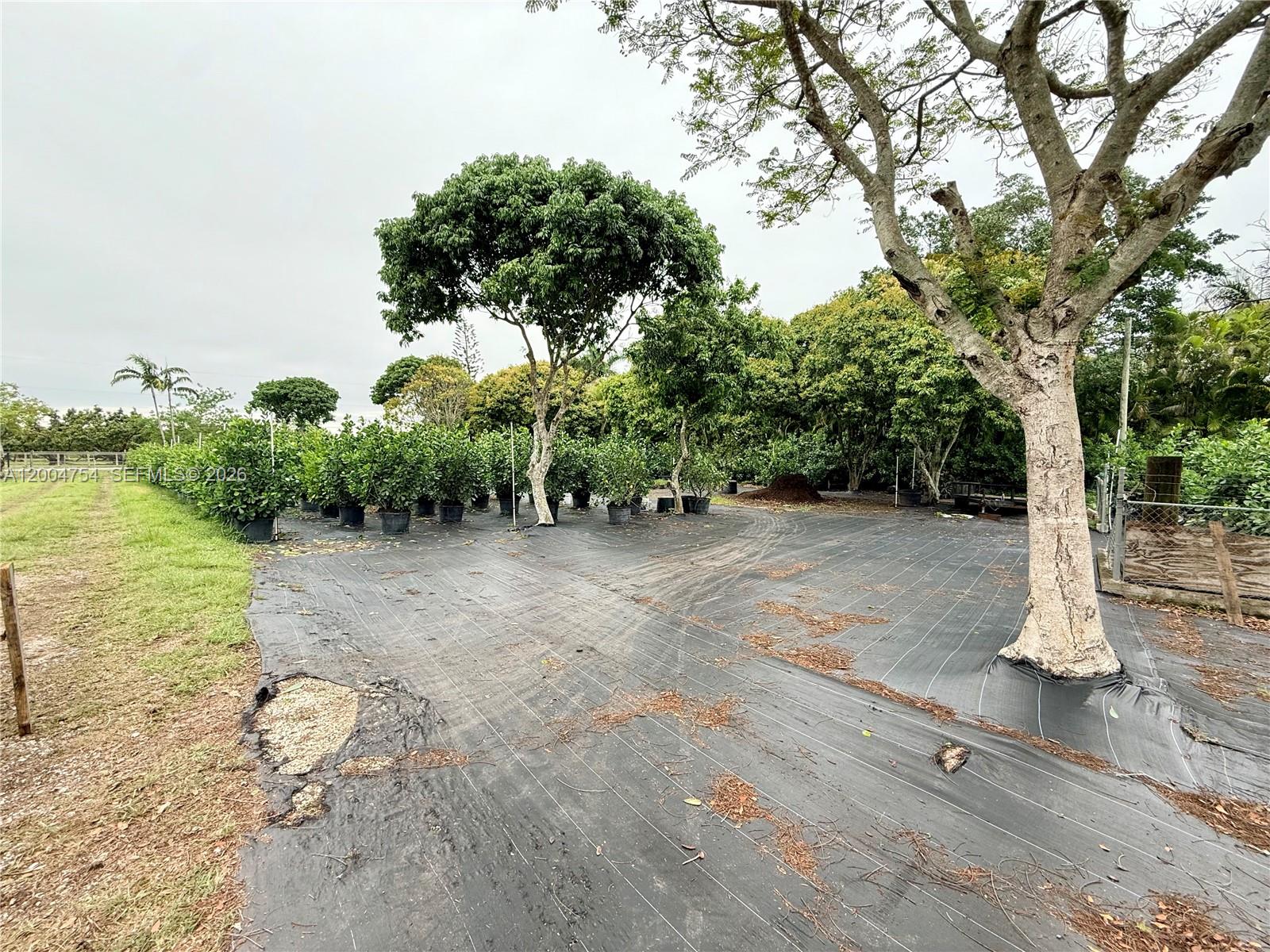 Shangrila - Residential