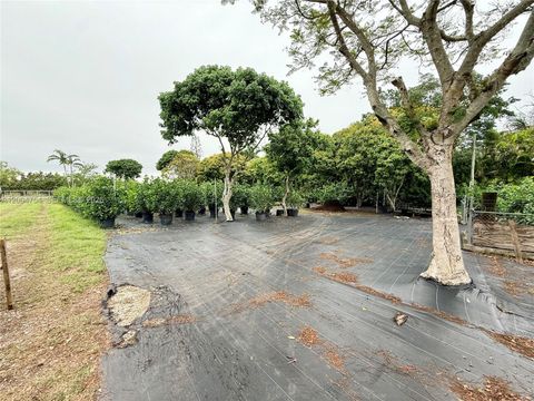 Tiny photo for Homestead, FL 33031 (MLS # A12004754)