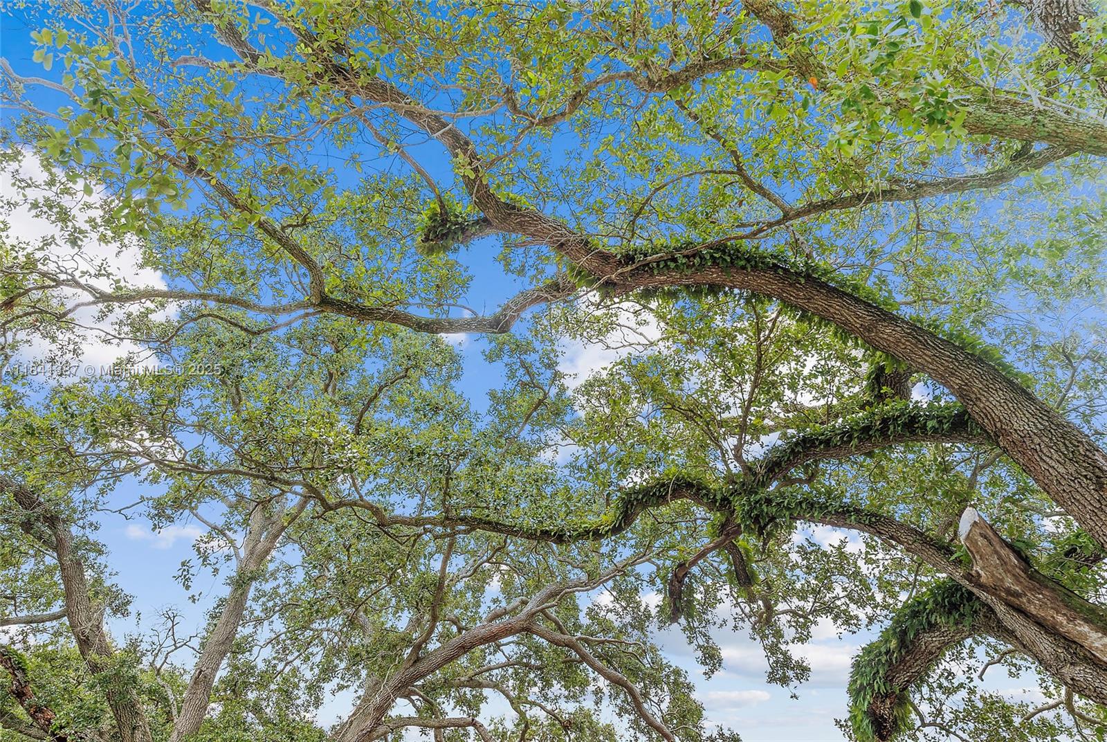 DIXIE GARDENS - Residential