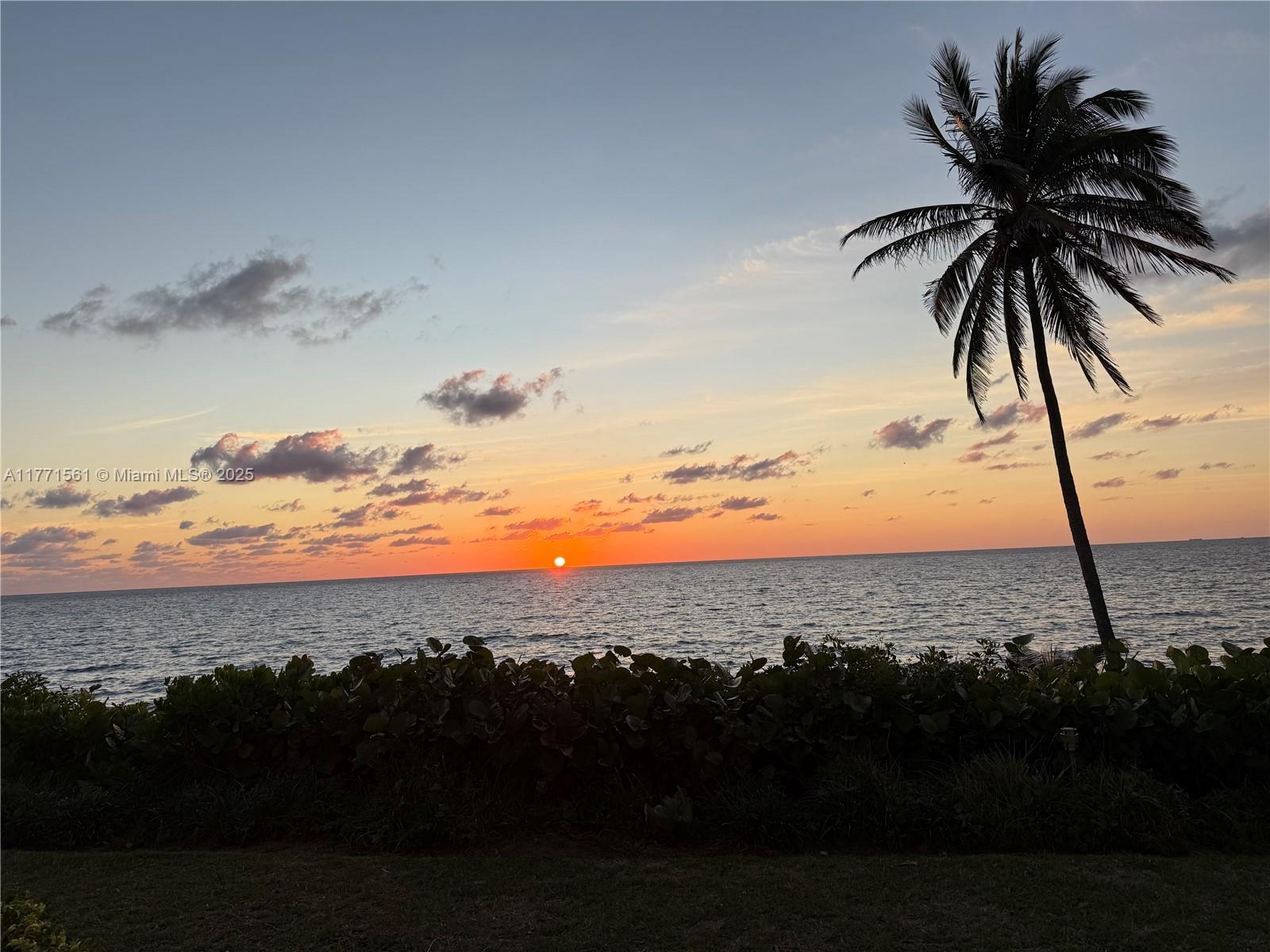 BRIGHTON CONDO - Residential Lease