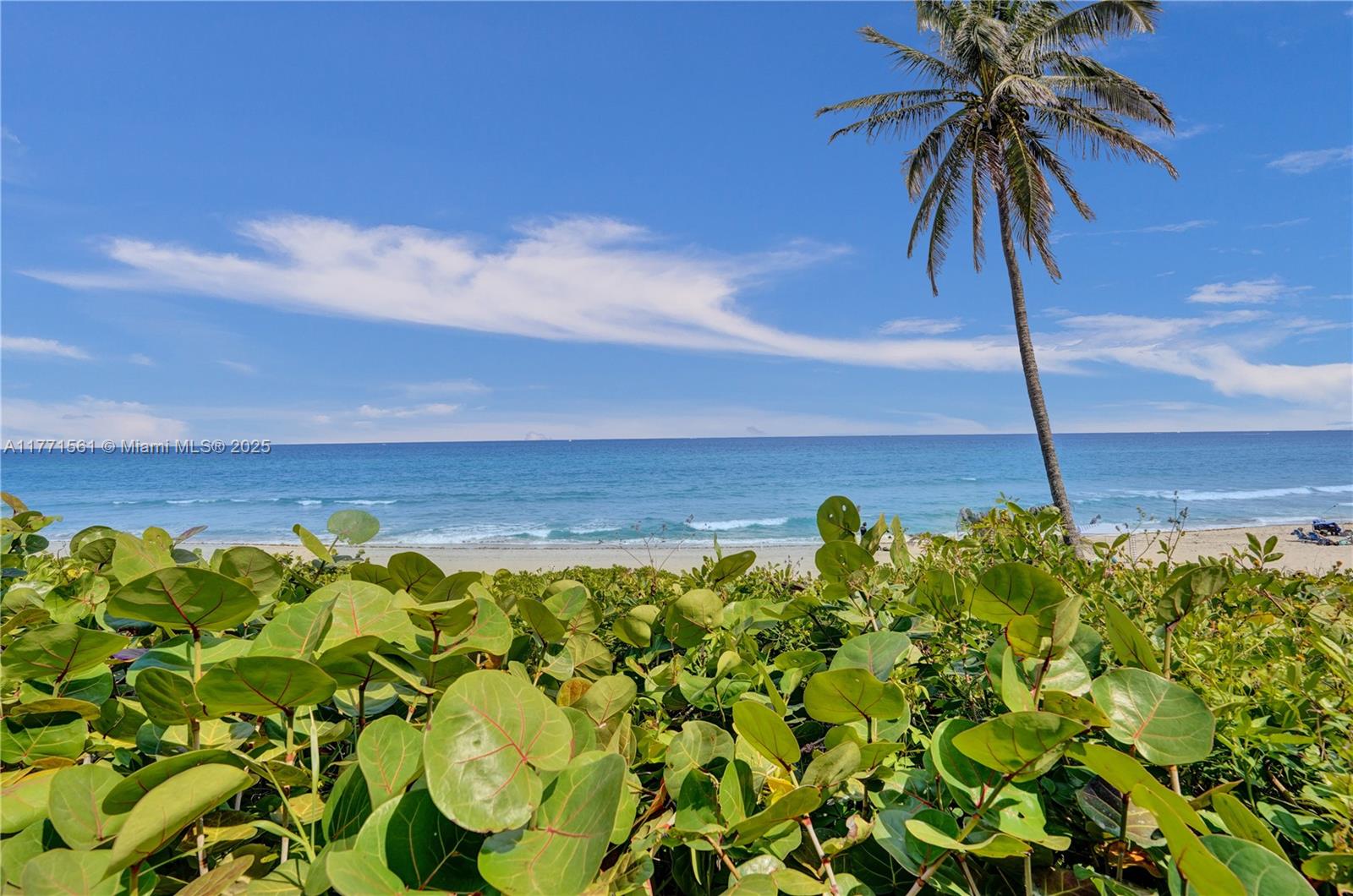 BRIGHTON CONDO - Residential Lease