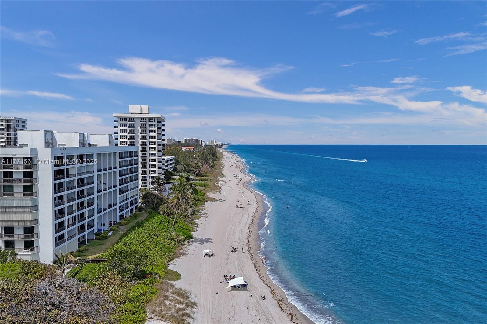 BRIGHTON CONDO - Residential Lease