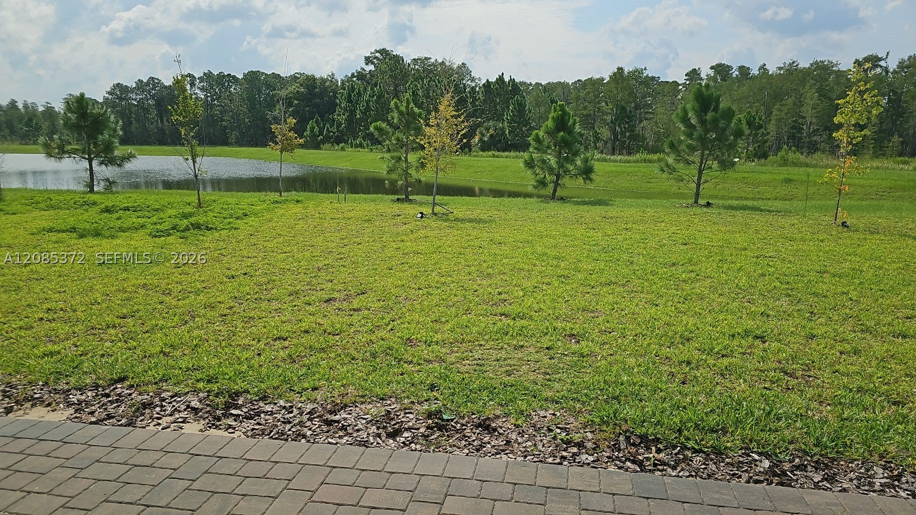 17571 SAW PALMETTO