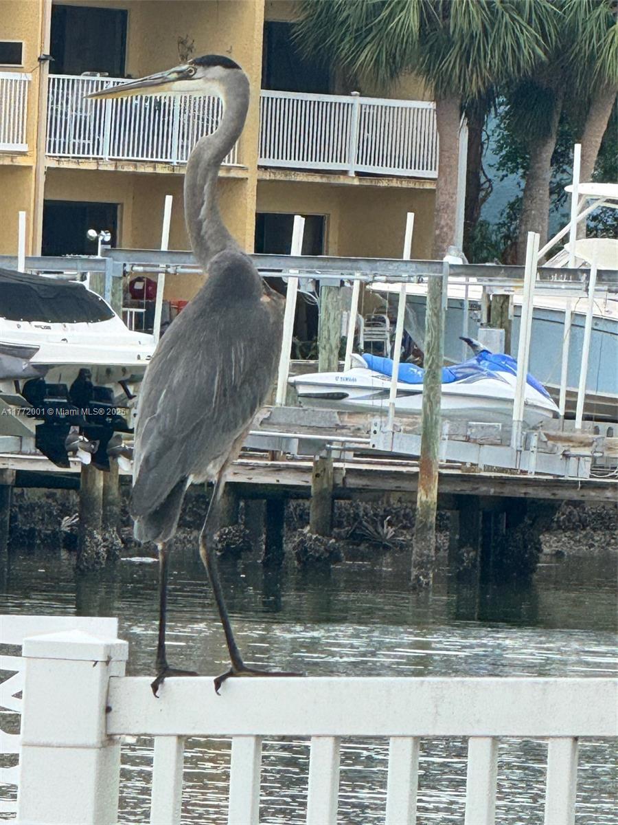 Indian Rocks Beach - Residential