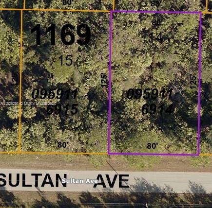 TWO LOTS AVAILABLE! Seize the chance to acquire a combined .46-acre parcel for constructing your new residence. These lots are in close proximity to electricity and are not situated in a scrub jay area. Positioned just minutes away from I-75, shopping centers, CoolToday Stadium, and medical services, this location offers convenience. Enjoy leisurely bike rides or walks to the nearby Shannon Staub Library. Explore the tranquility of Walton Ranch Preserve or access the numerous bike/walking trails and parks that North Port has to offer.