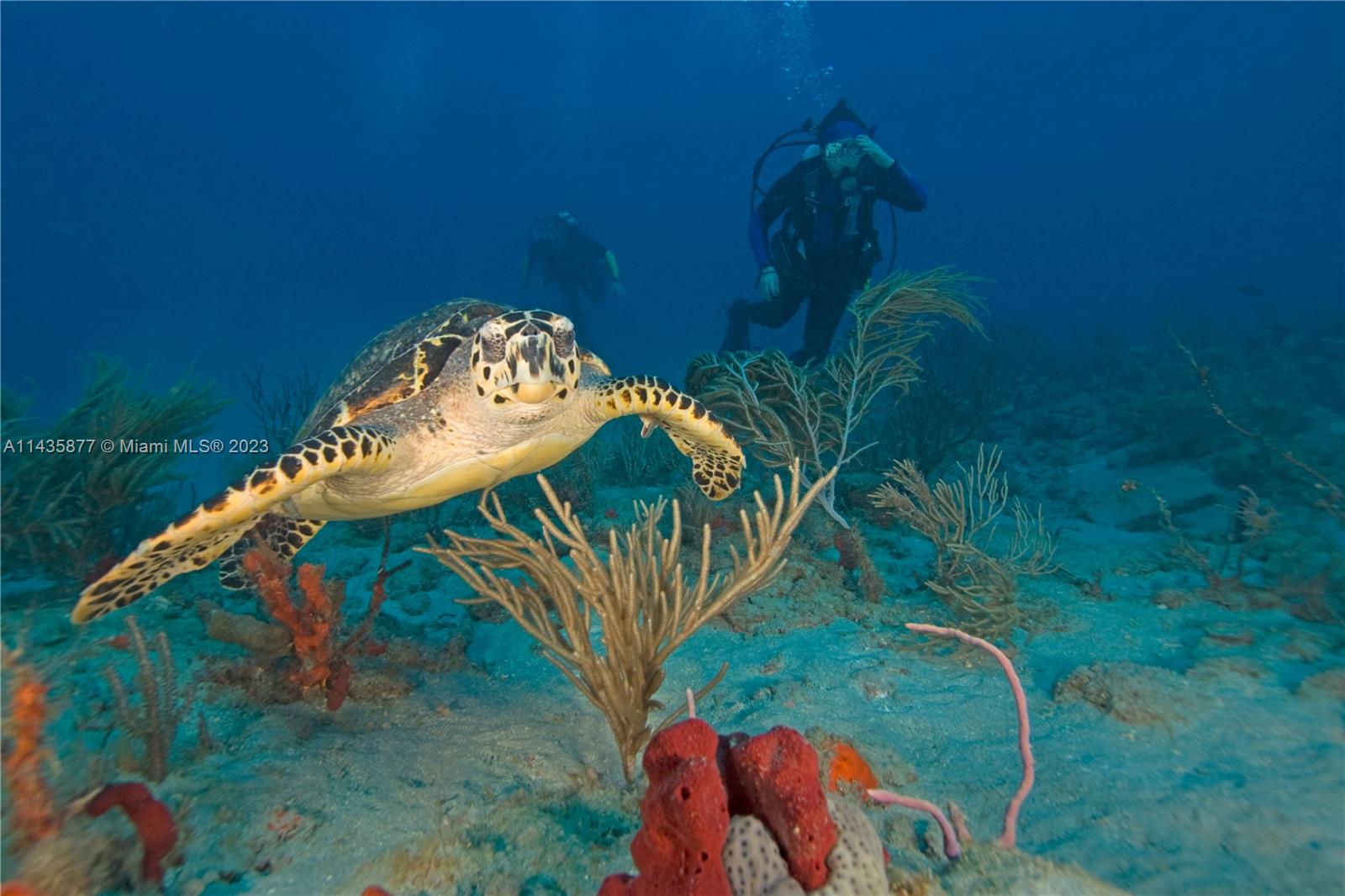 Port Charlotte Sec 41 - Land