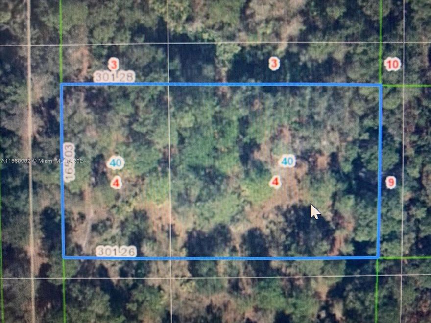 1.14 ACRES residential lot near Avon Park, price is firmed and ready to sell, one of the lowest prices lots in the area.