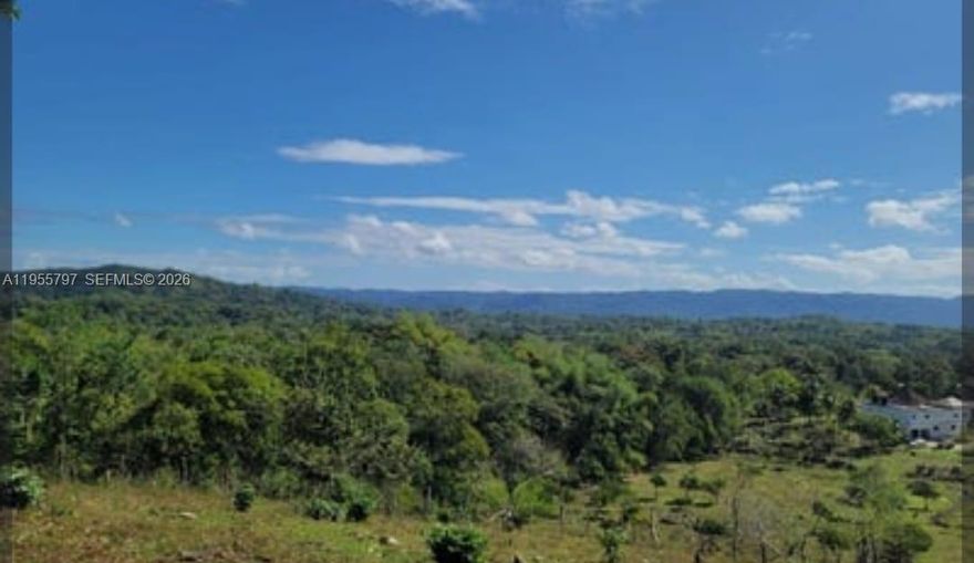 An exceptional opportunity to acquire or lease a rare 89-acre landholding, including 52 acres rich in limestone and valuable aggregates. Strategically positioned for mining, development, agriculture, or commercial enterprise, this versatile property offers immediate income potential and long-term upside. Jamaica’s expanding infrastructure, growing tourism market, and rising international investment demand make this a compelling asset for forward-thinking investors. With flexible rental and sale options available, this site is ideal for operators seeking scale, developers seeking growth, or institutions seeking a tangible hedge in a stable emerging market. Secure your position in a location where global attention, natural resources, and future development converge. Act now and inquire. Now.