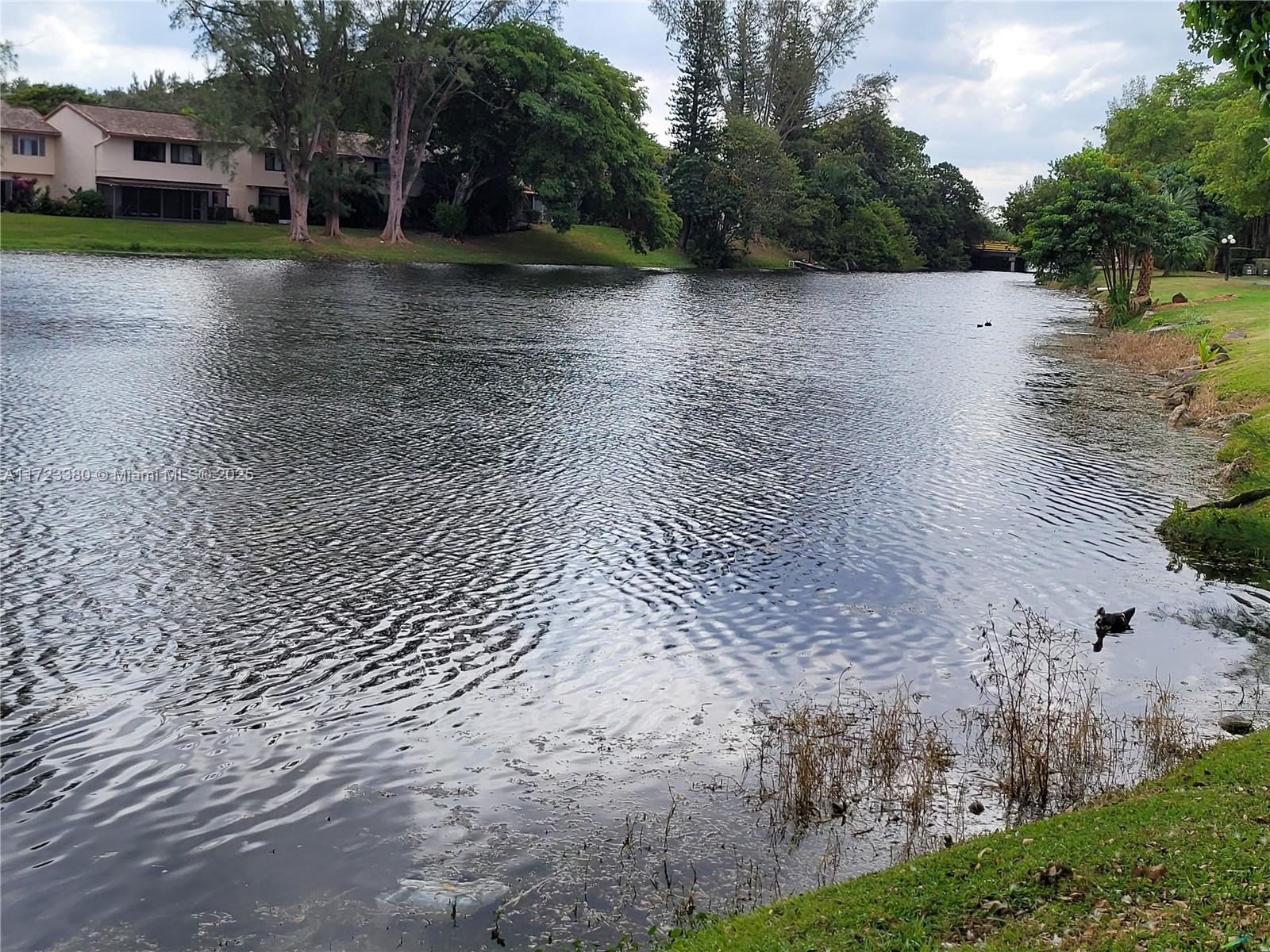 INTERNATIONAL VILLAGE AT - Residential