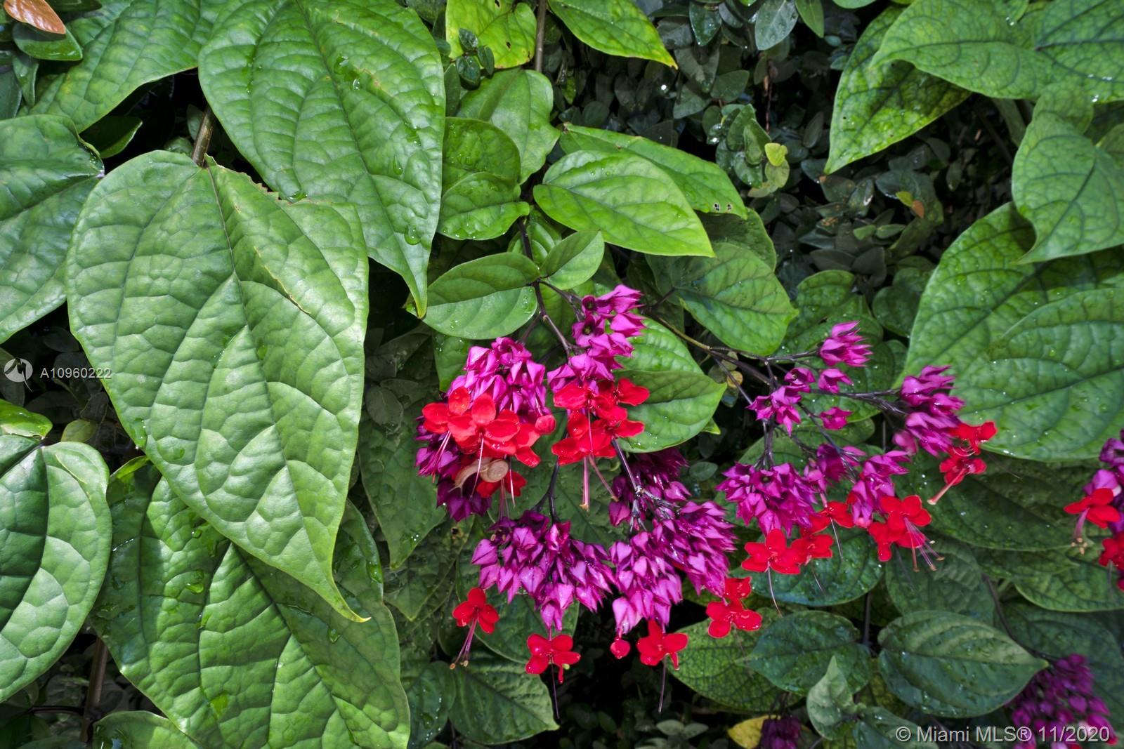 LA GORCE GOLF SUB - Residential