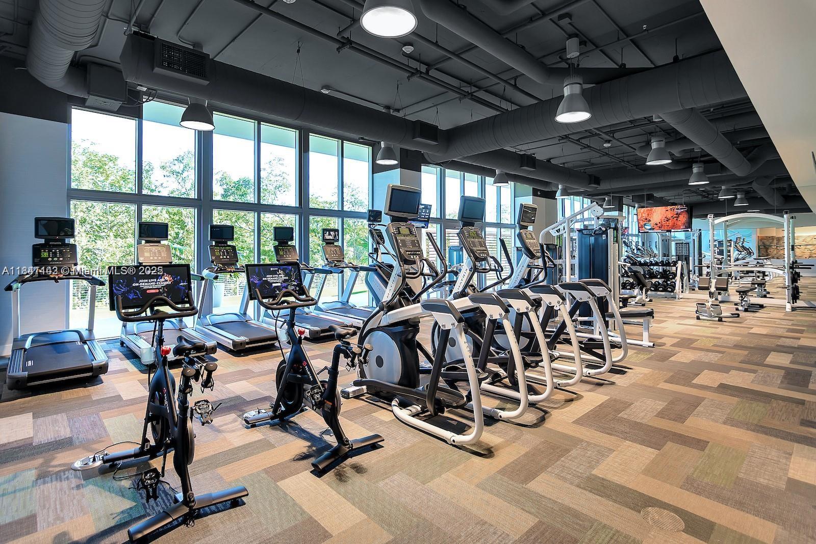 THE HARBOUR NORTH CONDO - Residential