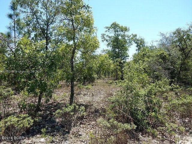 DREAMING OF GETTING OUT OF THE HUSTLE AND BUSTLE AND AWAY FROM IT ALL ?? HOW ABOUT 9.93 ACRES OF LAND JUST WAITING FOR YOU TO DO WHATEVER YOU WISH !! BUILD YOUR DREAM HIDEAWAY, OR SUB DIVIDE AND BUILD MULTIPLE HOMES OR TOWNHOMES SINCE ROAD RUNS THROUGH LAND. OR LEAVE IT AS IS AND USE IT FOR HUNTING. IT IS YOUR CHOICE ON THIS GREAT PARCEL OF WOODED LAND IN WASHINGTON COUNTY. 45 MINUTES FROM PANAMA CITY BEACH, 45 MINUTES FROM ALABAMA BORDER, 45 MINUTES FROM GEORGE BORDER. SEPTIC AND WELL WATER - ELECTRIC CAN BE RUN TO PROPERTY. LOADS OF DEVELOPMENT GOING ON AROUND - NEW HIGHWAYS, RETAIL, HOUSING DEVELOPMENTS. IN CENTRAL TIME ZONE. OR JUST GET IN NOW AS AN INVESTMENT AND ENJOY THE PEACE AND QUIET