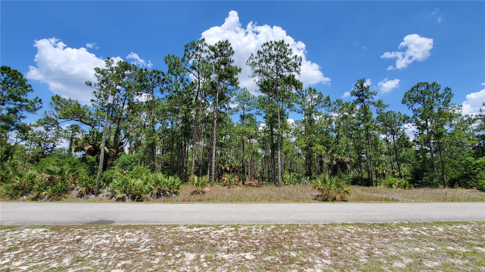 Attention investors! Seize this fantastic opportunity to own a prime half-acre lot in the thriving community of Lehigh Acres. Priced to sell and boasting low yearly taxes, this versatile lot is perfect for building your dream home or holding it as a strategic investment. Imagine a spacious residence complete with a pool, detached garage, and ample outdoor space. Experience the best of country living while being just a short drive away from shopping centers, restaurants, and supermarkets. Don’t miss out on this exceptional chance to secure a valuable piece of property in a rapidly developing area.