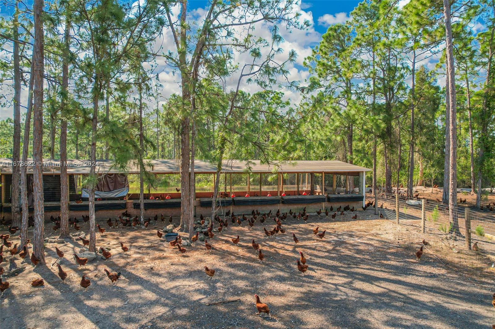 FL HENDRY LAND 40 AC TRS U - Residential