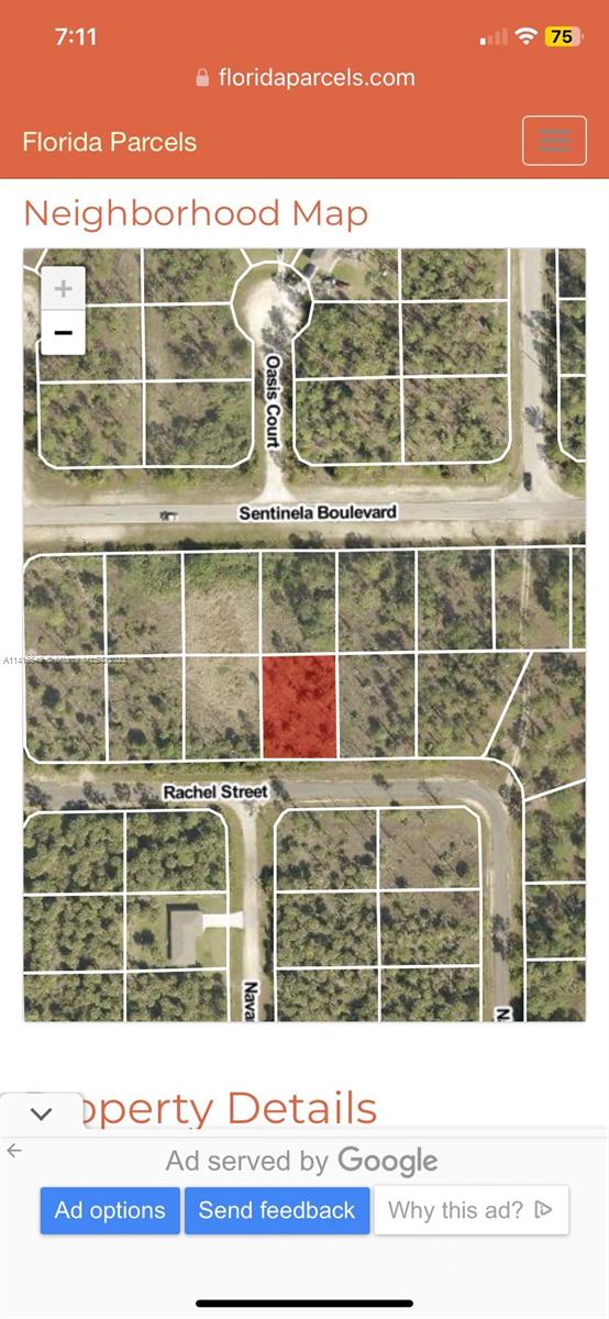 Great opportunity to own; build your dream home. The beautiful city of Lehigh Acres, in Lee County, minutes away from East LaBelle, Fort Myers, west of Lake Okeechobee, 150 miles from Miami Dade County, growing residential community, parks, green areas, fishing and boating off the unique river canal system in Florida that joins its east coast and west coast.
A valuable investment or build your home of dreams, with low construction cost; access to major highways.
Wonderful schools, shopping, restaurants, and much more.
In close vicinity of Mirror Lakes Golf Course. Adjacent lot (707 Delridge Ave. S., Lehigh Acres, Florida, Lee County.
Nearby cities include Cape Coral, Bonita Spring, and Fort Myers. Near to Florida's West Gulf Coast and
Southwest Florida International Airport
