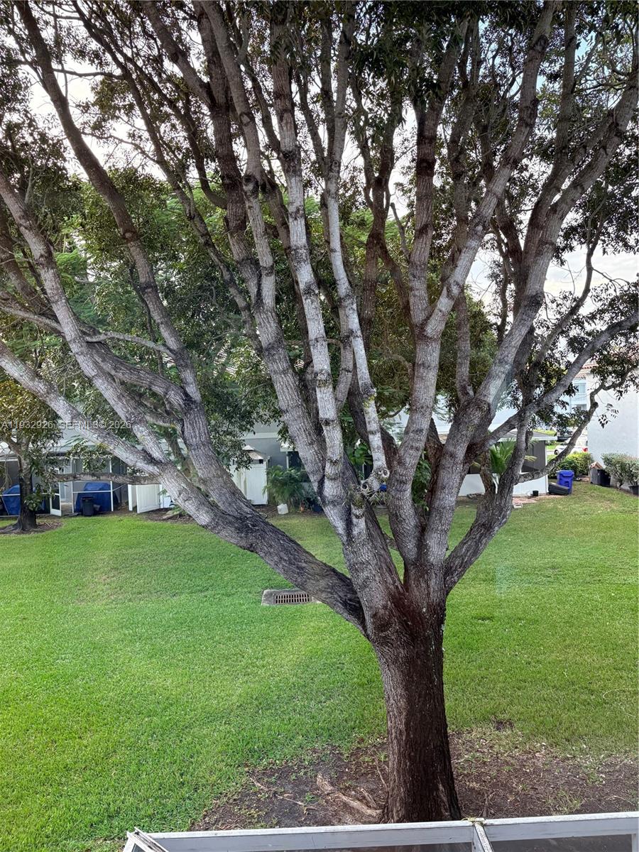 Malibu Bay - Residential
