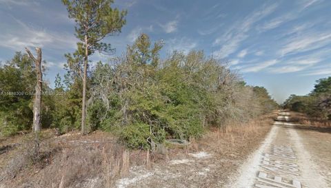 Lot 11 NE 155th Ter Williston FL 32696