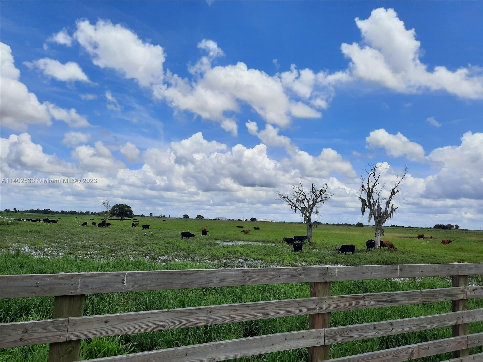 - - Land