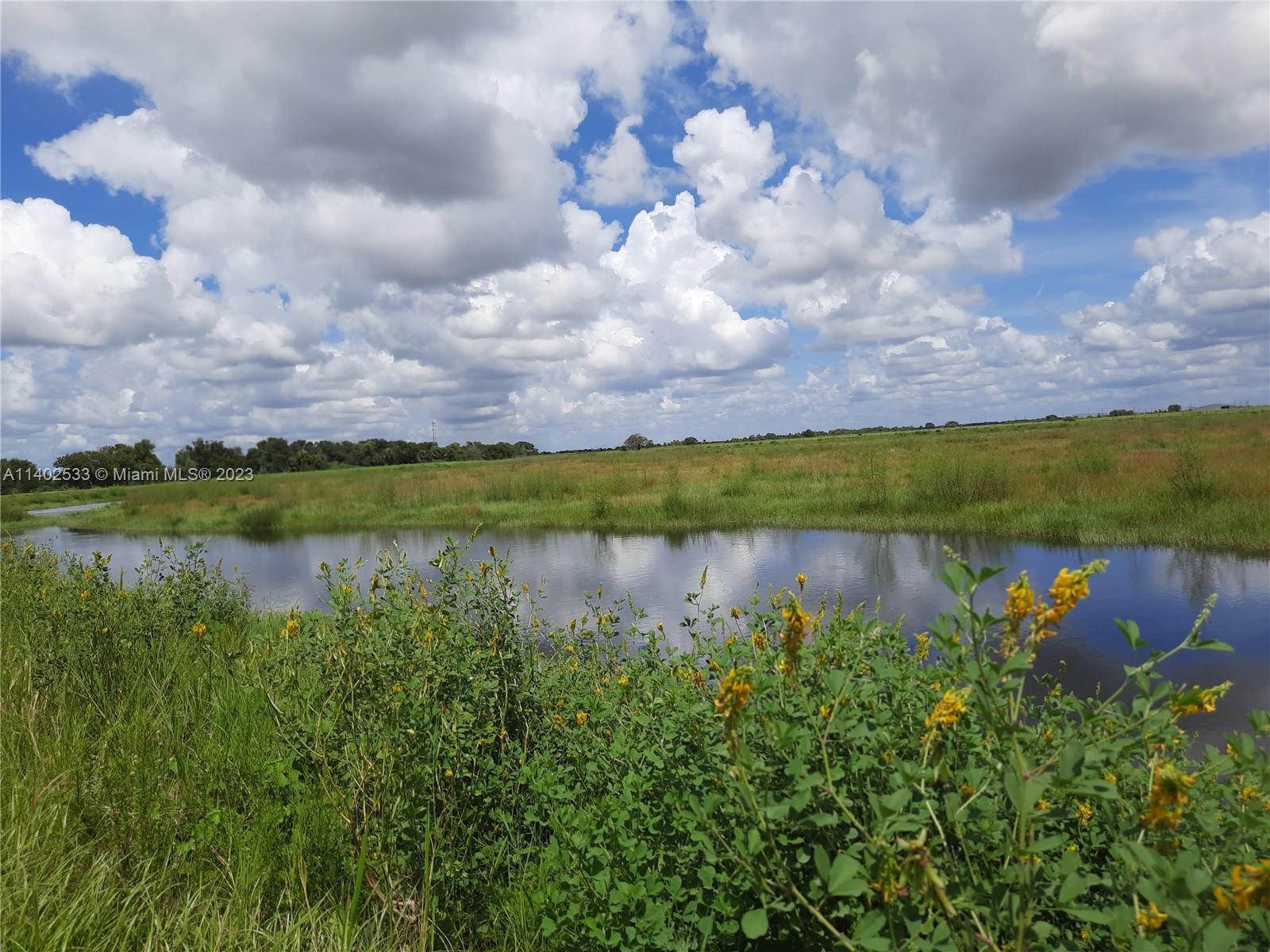 - - Land