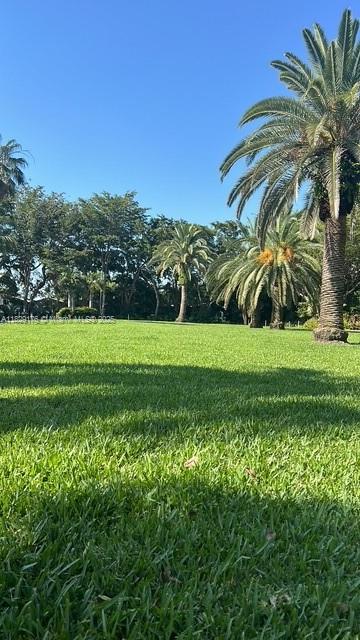 PALM BAY CONDOMINIUM - Residential