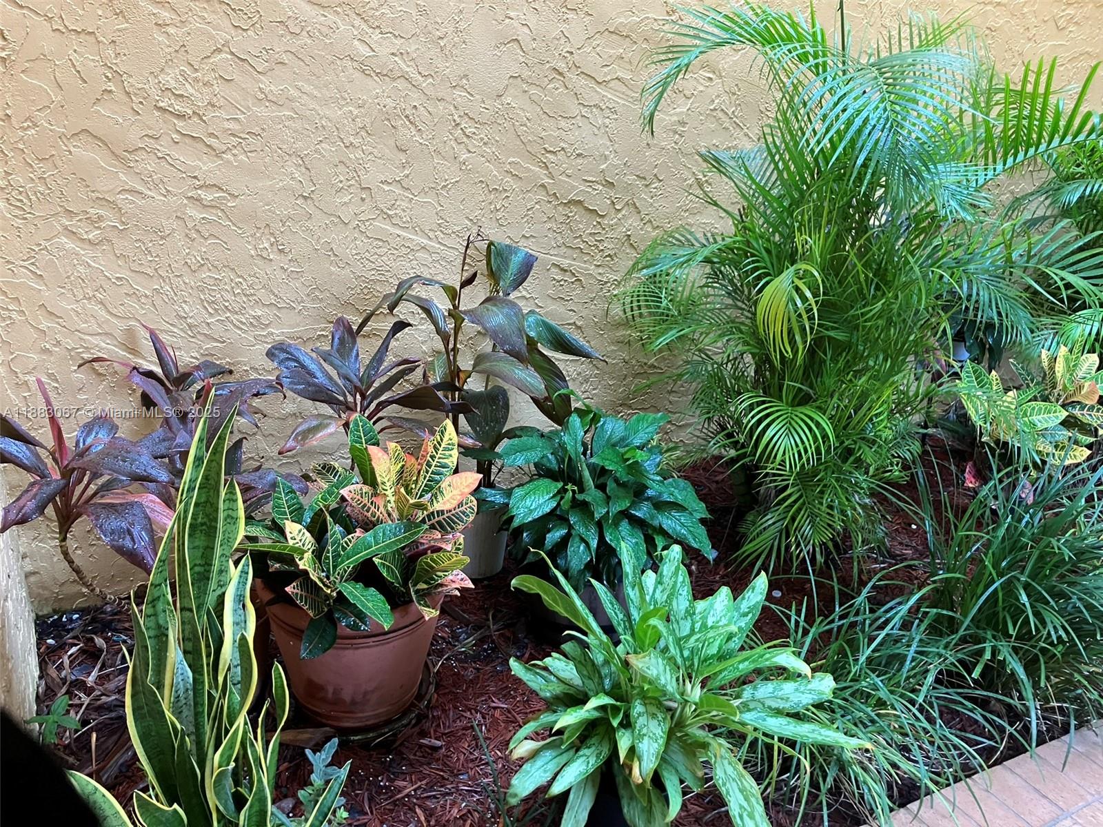 SOUTH WINDS CONDO - Residential