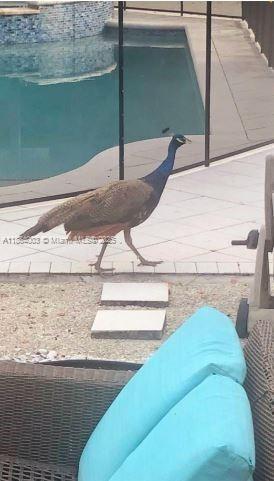 HOLLYWOOD LITTLE RANCHES - Residential