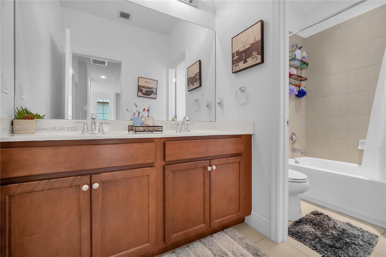 VIZCAYA FALLS PLAT 2 - Residential