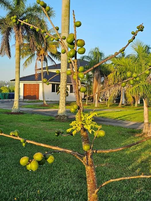 Redland Agricultural Dist - Residential