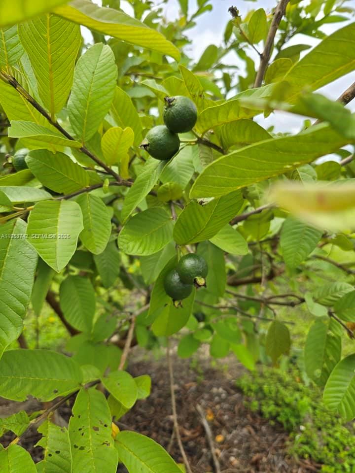 Redland Agricultural Dist - Residential