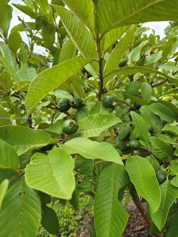 Redland Agricultural Dist - Residential