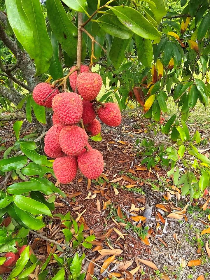 Redland Agricultural Dist - Residential