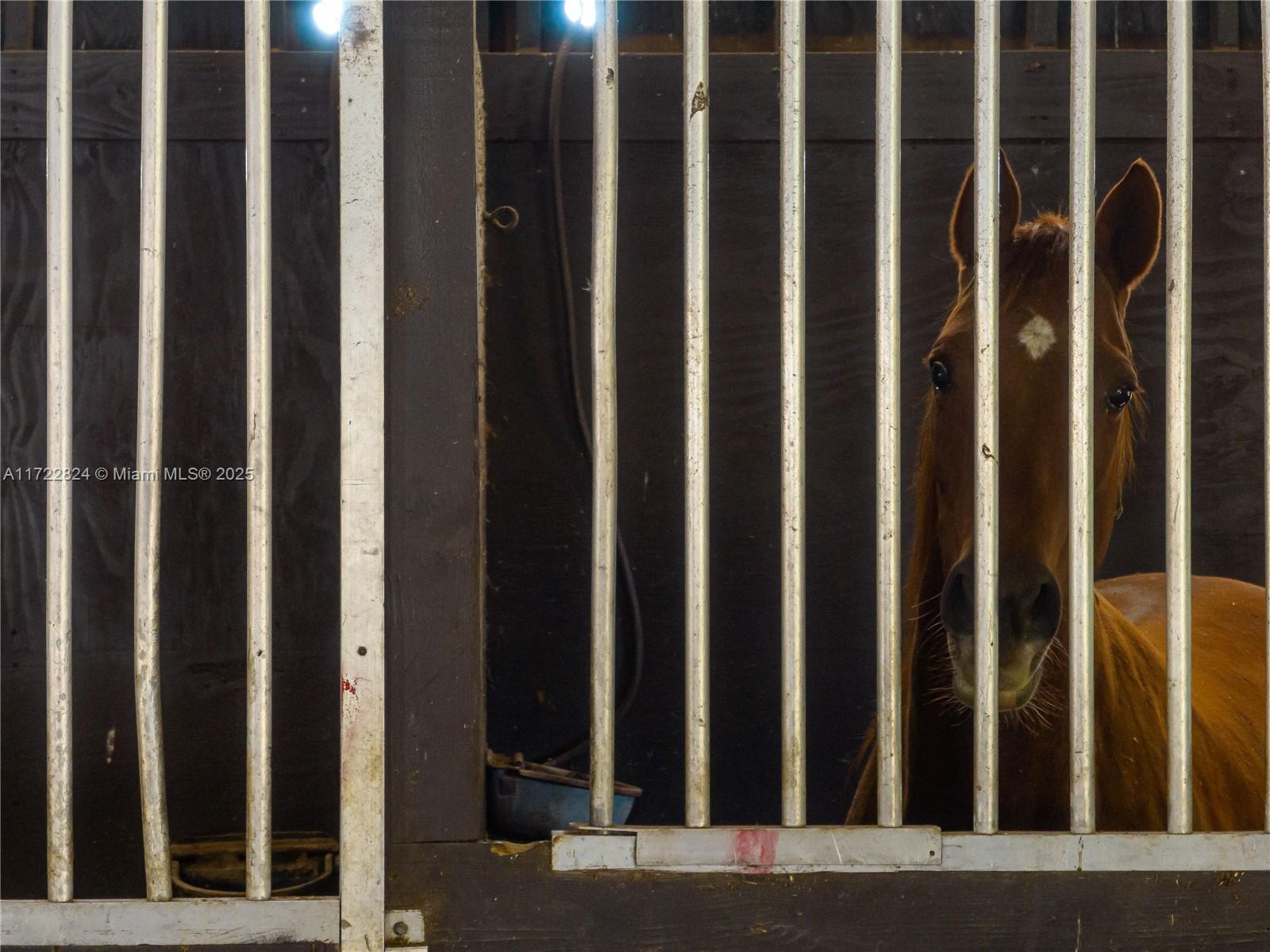 HOMESTEAD - Residential