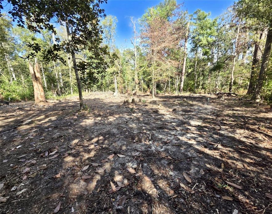 2.95 Acres with Utilities in Place – Ready for Your Dream Build! This is your chance to secure nearly 3 acres of land with utilities in place—ready for your vision.

At the end of a quiet cul-de-sac with this 2.95-acre parcel in Quincy, Florida.Property already features a septic tank, water access, and a light pole (requires connection), giving you a head start on building your dream home, investment property, or private retreat. 1 acre of the lot has been cleared, offering an ideal spot for construction while leaving plenty of tree coverage for privacy and natural beauty. If you're a builder, investor, or future homeowner, this property is full of potential. Surrounded by trees location offers peace of country living while still being close to local amenities, shopping and schools.